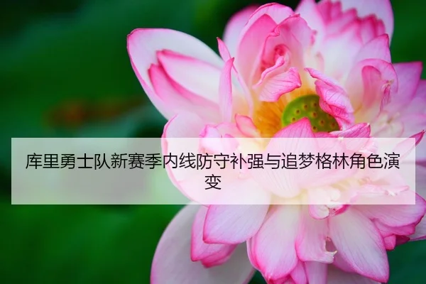 库里勇士队新赛季内线防守补强与追梦格林角色演变