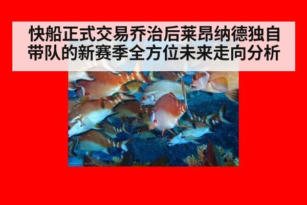 快船正式交易乔治后莱昂纳德独自带队的新赛季全方位未来走向分析